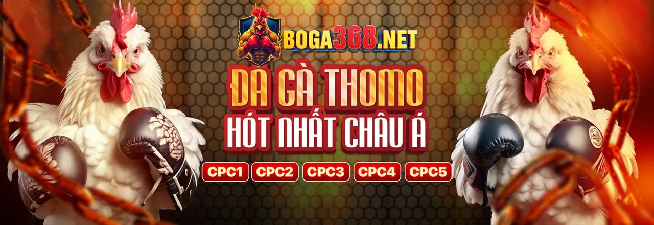 UC88 Nhà Cái: Vì sao chúng tôi là lựa chọn hàng đầu?